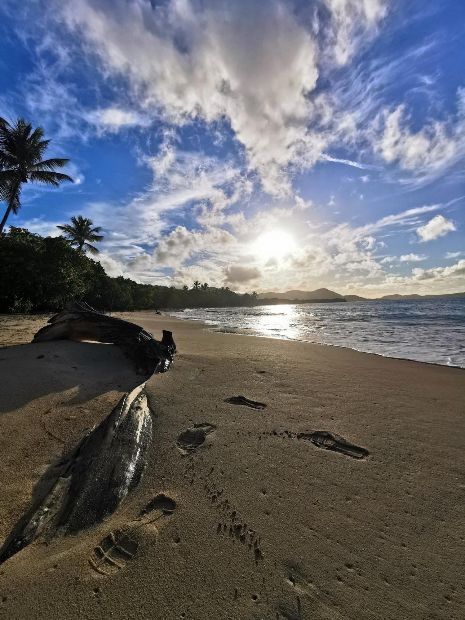 Ti'Bakoua A Sainte-Luce Plage Et Piscine Extérieur photo